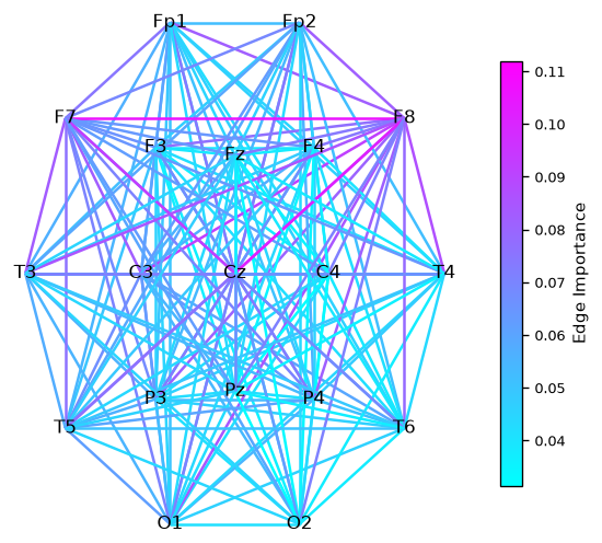 Connectivity graph between electrodes showing which connections carried the most weight in one example recording
